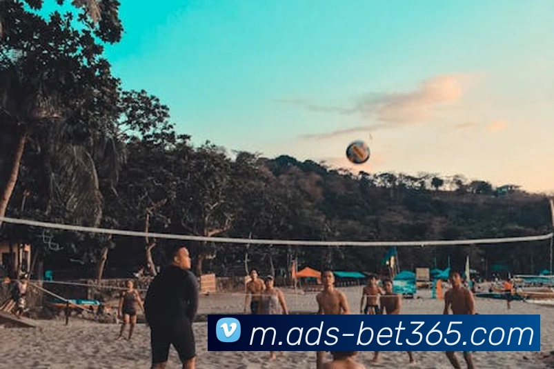 App Interface Preview